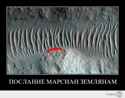Очередной улов из социальных сетей