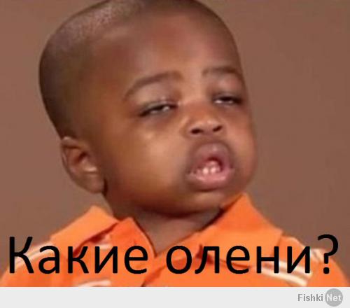 Да что ты знаешь о лени?