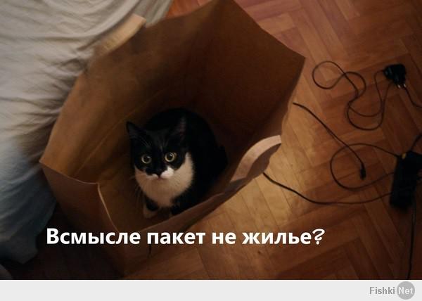 Фишкина солянка за 14.03.2014