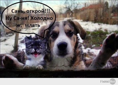 навеяло