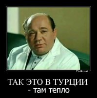Пьяные придурки