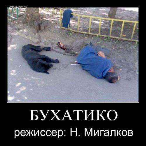 Трогательные снимки со всех частей света