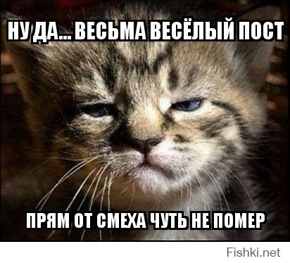 Подборка смешных СМС сообщений