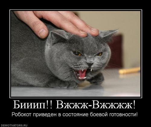 Всем оставаться на своих местах!