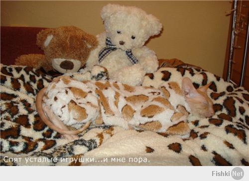Моя радость