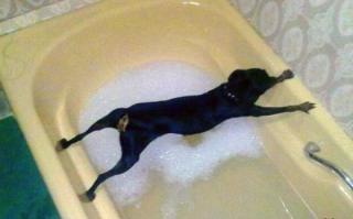 Миссия выполнима!