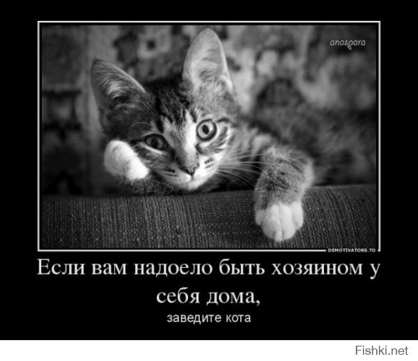Кто в доме хозяин)