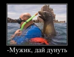 Фотобомбы