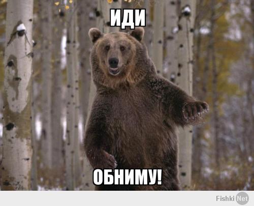 Помогли медвежонку