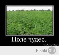 Грустно.