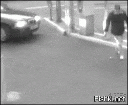 Гифки дня