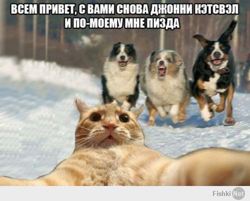 Джонни Кэтсвэлл везде.