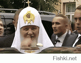 Гифки дня