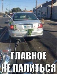 Газон.