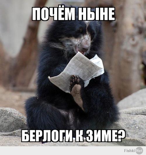 Забавные мишки