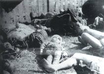 надо полякам напомнить про резню волынскую... слабый народ поляки, генетическую память ошибло... историю учат американскую...поддерживают тех кто их детей резал тысячами...