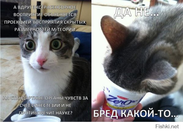 Органы человеческого тела, о которых мы не знали