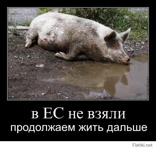 Вот это ее позиция!