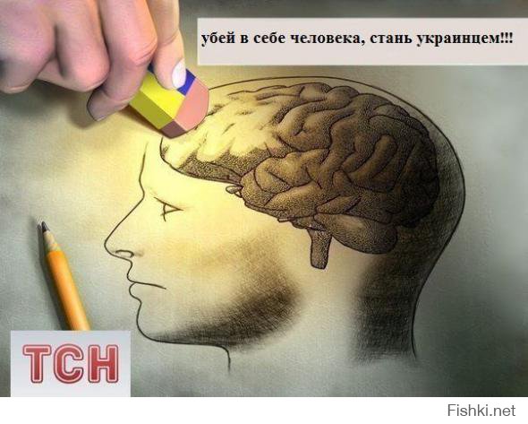 Меньше смотри укропское ТВ, умнее будешь!