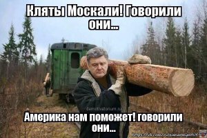 Журналист Господин Порошенко, зачем ваши войска бомбят мирных жителей