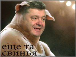 Журналист Господин Порошенко, зачем ваши войска бомбят мирных жителей