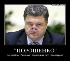 Журналист Господин Порошенко, зачем ваши войска бомбят мирных жителей