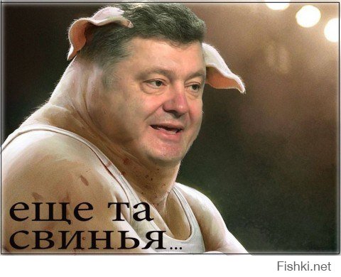 Журналист Господин Порошенко, зачем ваши войска бомбят мирных жителей