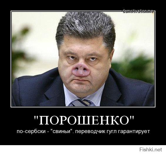 Журналист Господин Порошенко, зачем ваши войска бомбят мирных жителей