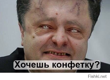 Журналист Господин Порошенко, зачем ваши войска бомбят мирных жителей