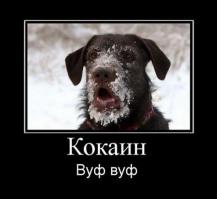 Колумбийская журналистка Мелисса Мартинез