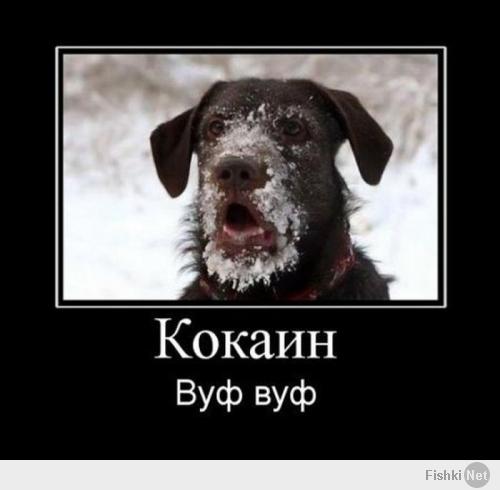 Колумбийская журналистка Мелисса Мартинез