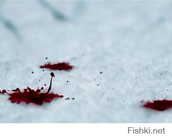 Лолита — История девушки с обложки
