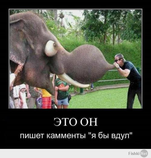 Девушки в обтягивающих штанишках