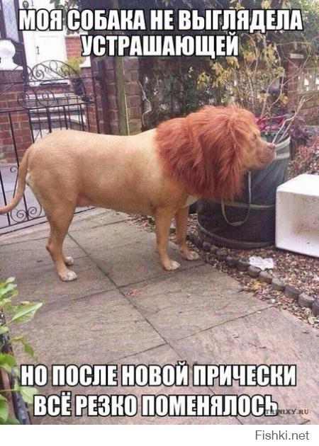 Фишкина солянка за 11.10.2014