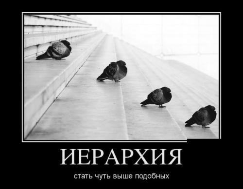 Фишкина солянка. Часть 51