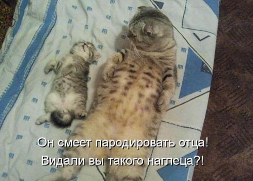 Фишкина солянка. Часть 51