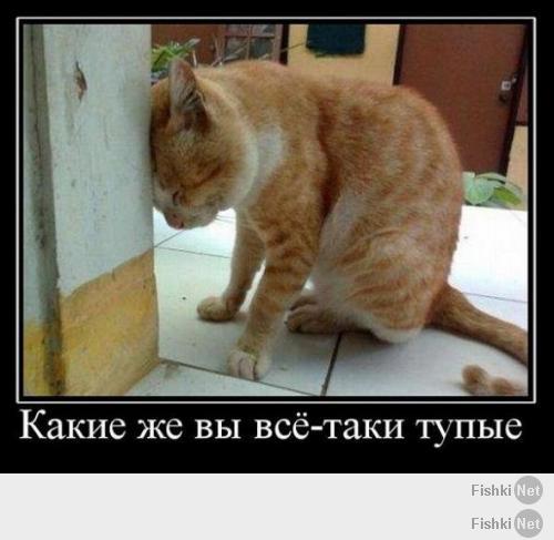 Фото дня