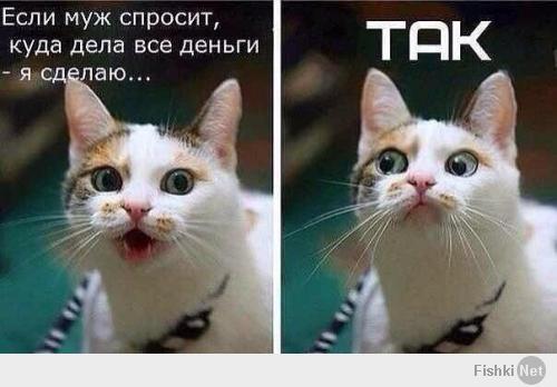 Фишкина солянка за 14.05.2014