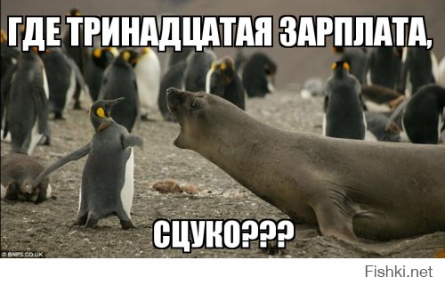Картинки со смешными подписями
