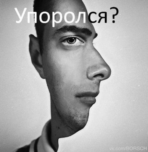 Подборка фото приколов