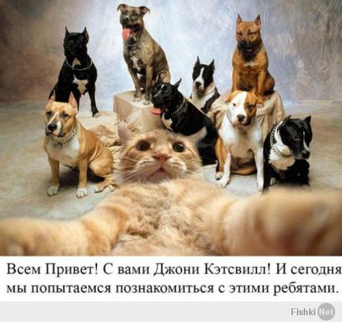 Джонни Кэтсвэлл везде.