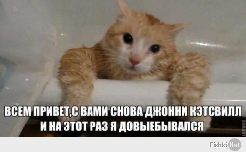 Джонни Кэтсвэлл везде.