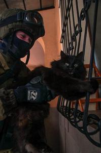 долой путинский полицейский беспредел!!