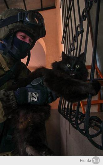 долой путинский полицейский беспредел!!