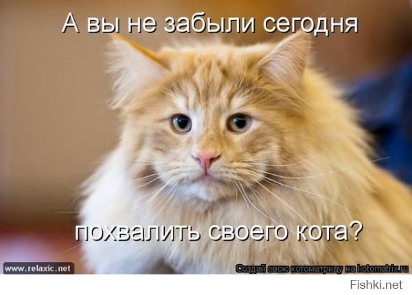 Смешные картинки с подписями