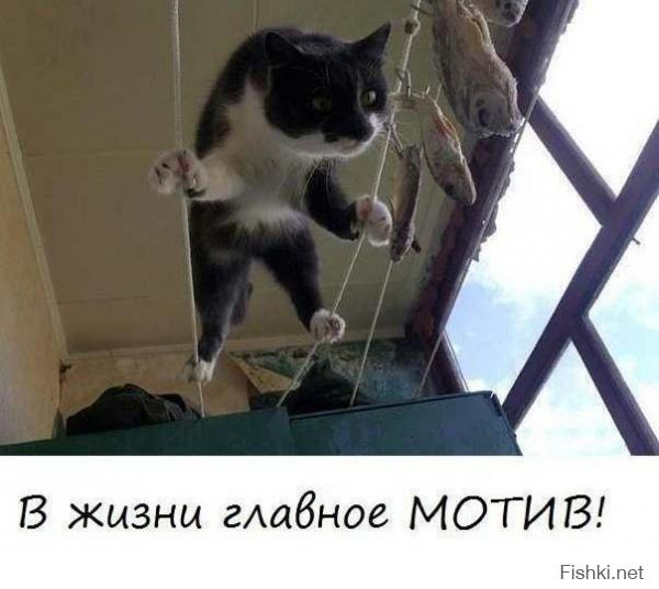 Картинки со смешными подписями