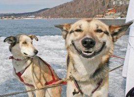 Улыбки, перед которыми невозможно устоять