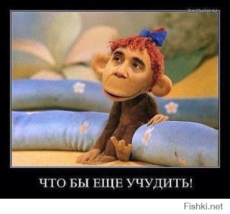 Как политики поимели Америку