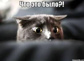 Два идиота