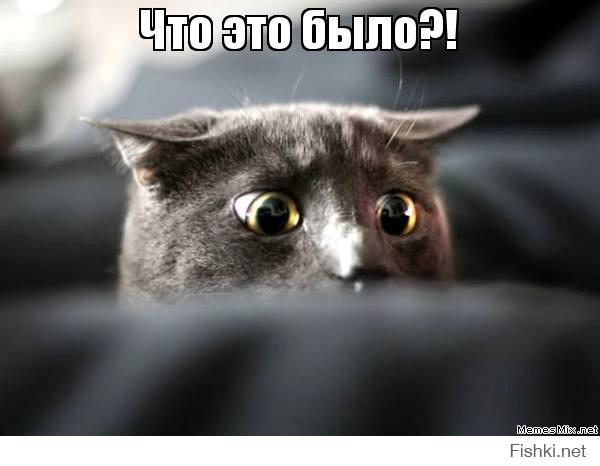 Два идиота
